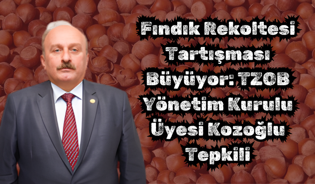 Fındık Rekoltesi Tartışması Büyüyor: TZOB Yönetim Kurulu Üyesi Kozoğlu Tepkili