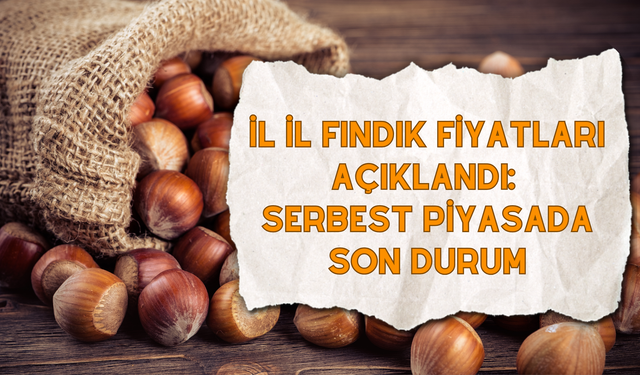 İl İl Fındık Fiyatları Açıklandı: Serbest Piyasada Son Durum