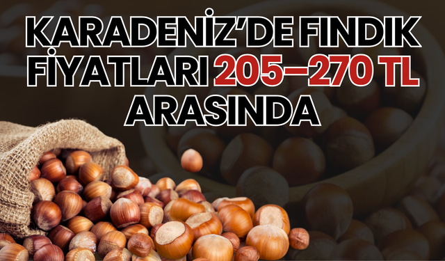 Karadeniz’de Fındık Fiyatları 205–270 TL Arasında