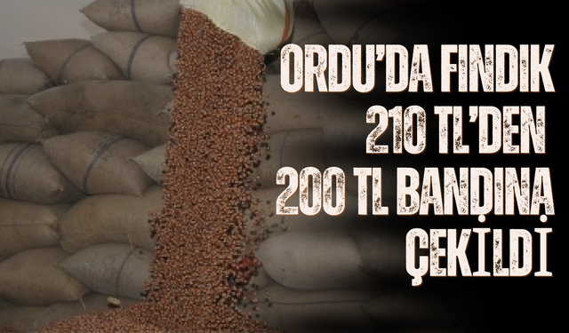Ordu’da Fındık 210 TL’den 200 TL Bandına Çekildi