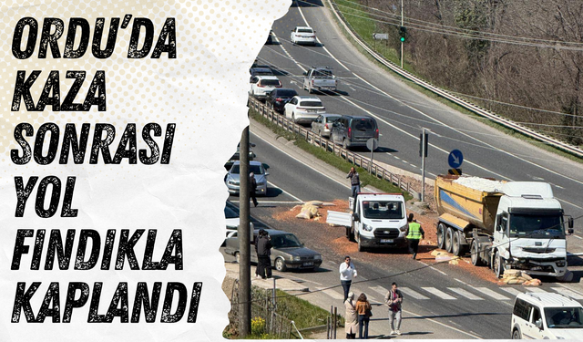 Ordu’da Kaza Sonrası Yol Fındıkla Kaplandı