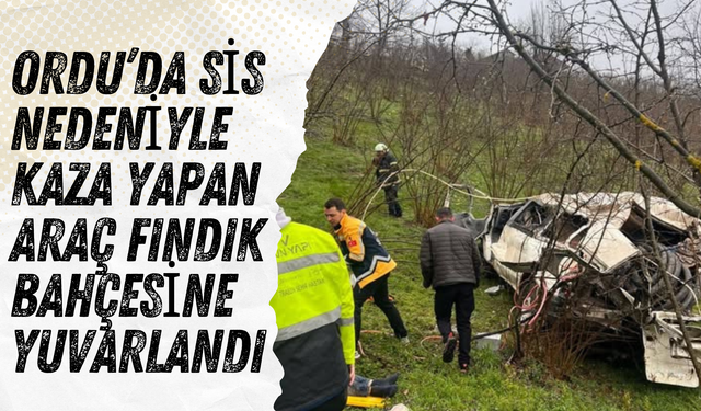 Ordu’da Sis Nedeniyle Kaza Yapan Araç Fındık Bahçesine Yuvarlandı