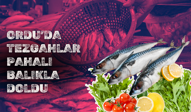 Ordu’da Tezgahlar Pahalı Balıkla Doldu