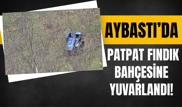 Aybastı’da Patpat Fındık Bahçesine Yuvarlandı!