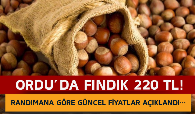 Ordu’da Fındık 220 TL! Randımana Göre Güncel Fiyatlar Açıklandı…
