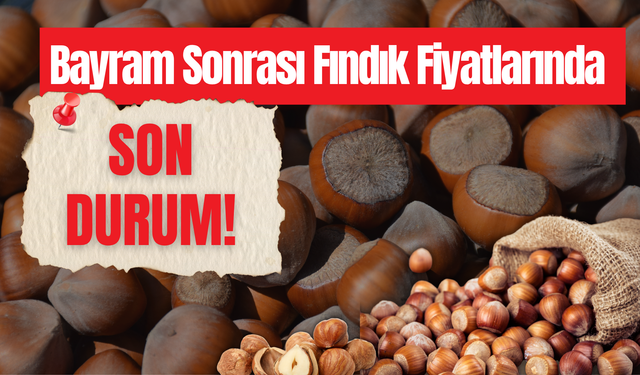 Bayram Sonrası Fındık Fiyatlarında Son Durum!