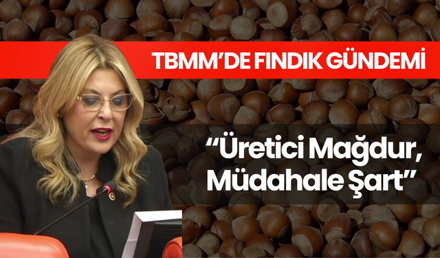 TBMM’de Fındık Gündemi: “Üretici Mağdur, Müdahale Şart”