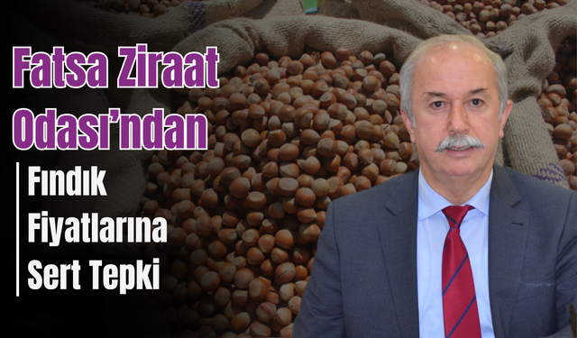 Fatsa Ziraat Odası’ndan Fındık Fiyatlarına Sert Tepki