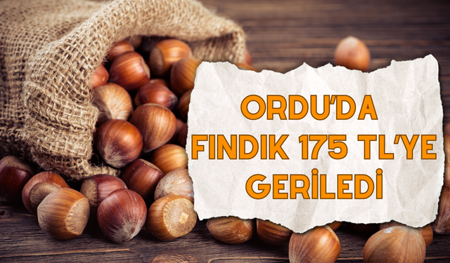 Ordu’da Fındık 175 TL’ye Geriledi