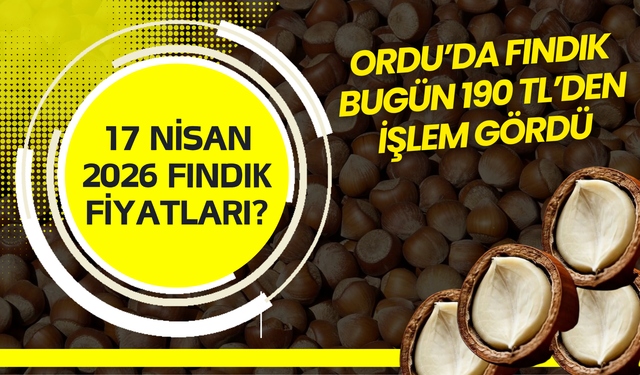 Ordu’da Fındık Bugün 190 TL’den İşlem Gördü