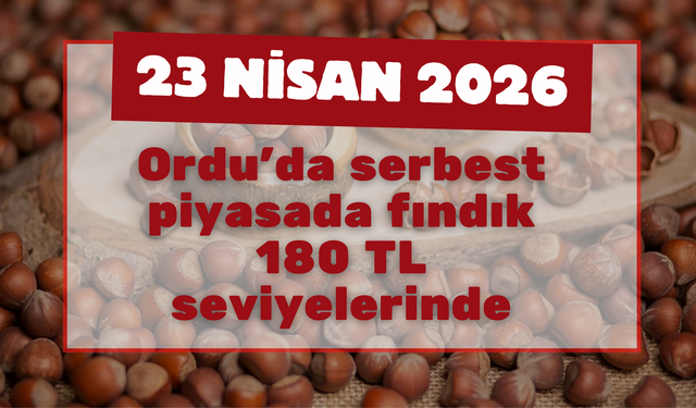 Ordu’da serbest piyasada fındık 180 TL seviyelerinde