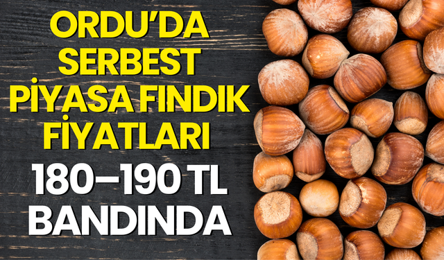 Ordu’da Serbest Piyasa Fındık Fiyatları 180–190 Tl Bandında