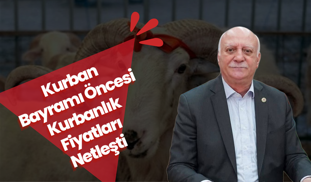 Kurban Bayramı Öncesi Kurbanlık Fiyatları Netleşti