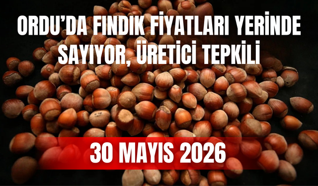 Ordu’da Fındık Fiyatları Yerinde Sayıyor, Üretici Tepkili
