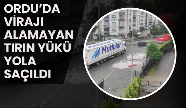 Ordu’da Virajı Alamayan Tırın Yükü Yola Saçıldı