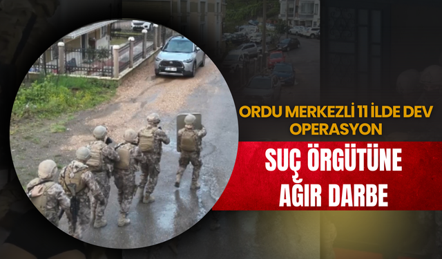 Ordu Merkezli 11 İlde Dev Operasyon: Suç Örgütüne Ağır Darbe