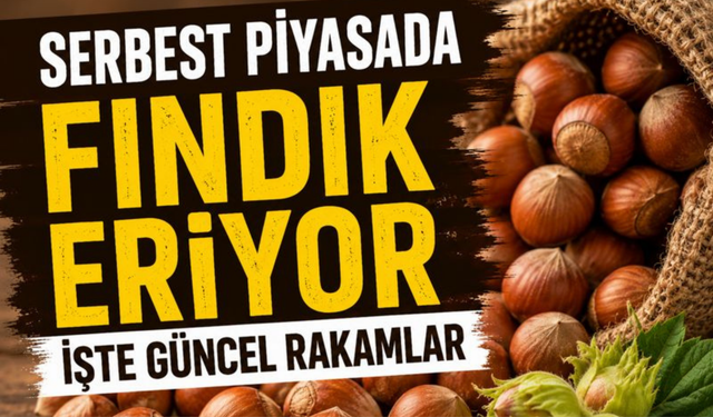 Serbest Piyasada Fındık Eriyor: İşte Güncel Rakamlar