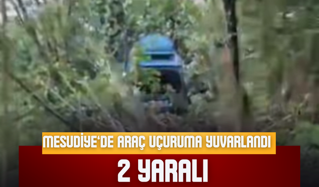 Mesudiye’de Araç Uçuruma Yuvarlandı: 2 Yaralı