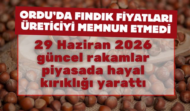 ORDU’DA FINDIK FİYATLARI ÜRETİCİYİ MEMNUN ETMEDİ