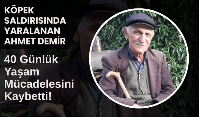 Köpek Saldırısında Yaralanan Ahmet Demir, 40 Günlük Yaşam Mücadelesini Kaybetti!