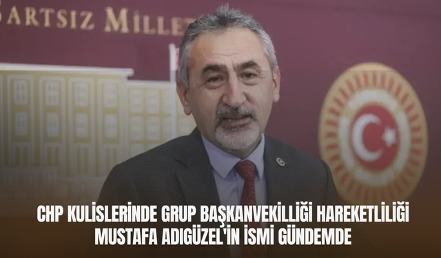 CHP Kulislerinde Grup Başkanvekilliği Hareketliliği: Mustafa Adıgüzel'in İsmi Gündemde