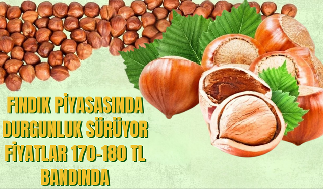 Fındık Piyasasında Durgunluk Sürüyor: Fiyatlar 170–180 TL Bandında