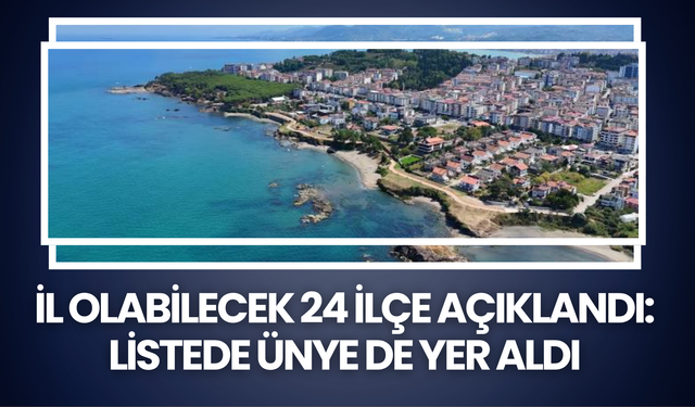 İl Olabilecek 24 İlçe Açıklandı: Listede Ünye de Yer Aldı