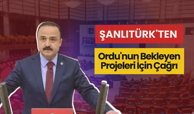Şanlıtürk'ten Ordu'nun Bekleyen Projeleri İçin Çağrı