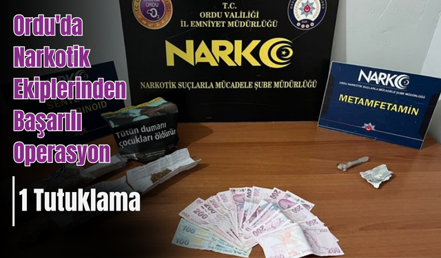 Ordu'da Narkotik Ekiplerinden Başarılı Operasyon: 1 Tutuklama
