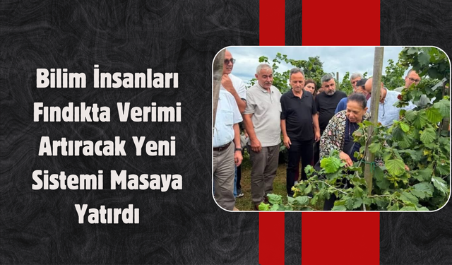 Bilim İnsanları Fındıkta Verimi Artıracak Yeni Sistemi Masaya Yatırdı