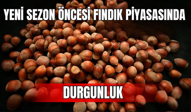 Yeni Sezon Öncesi Fındık Piyasasında Durgunluk