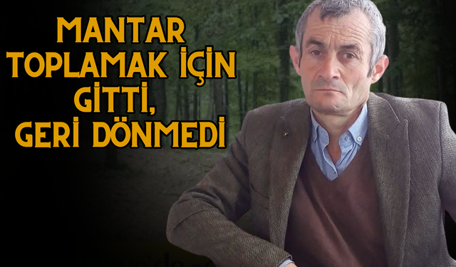 Ünye'de Mantar Toplamaya Giden Vatandaştan 3 Gündür Haber Alınamıyor
