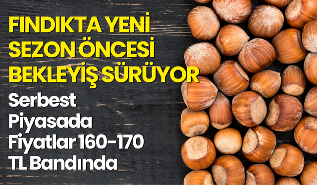 Fındıkta Yeni Sezon Öncesi Bekleyiş Sürüyor: Serbest Piyasada Fiyatlar 160-170 TL Bandında