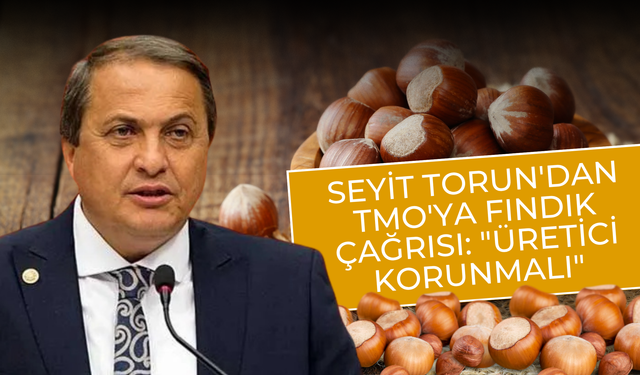 Seyit Torun'dan TMO'ya Fındık Çağrısı: "Üretici Korunmalı"
