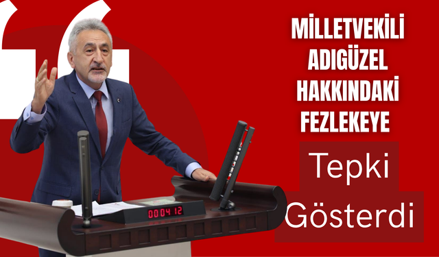Milletvekili Adıgüzel Hakkındaki Fezlekeye Tepki Gösterdi
