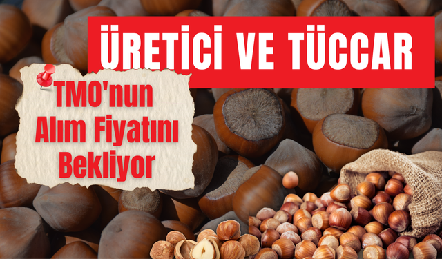 Üretici ve Tüccar TMO'nun Alım Fiyatını Bekliyor