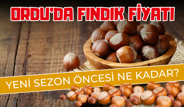 Ordu'da Fındık Fiyatı Yeni Sezon Öncesi Ne Kadar?