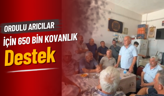 Ordulu Arıcılar İçin 650 Bin Kovanlık Destek