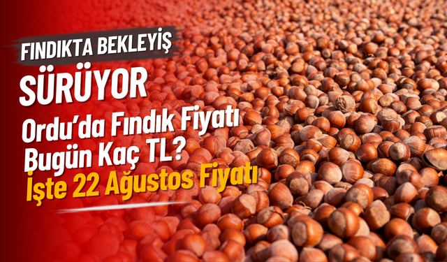 Ordu’da Fındık Fiyatı Bugün Kaç TL? İşte 22 Ağustos Fiyatı