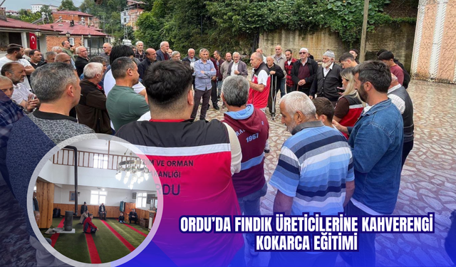 Ordu’da Fındık Üreticilerine Kahverengi Kokarca Eğitimi
