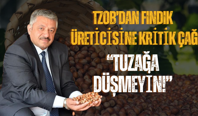 TZOB’dan Fındık Üreticisine Kritik Çağrı: “Tuzağa Düşmeyin!”