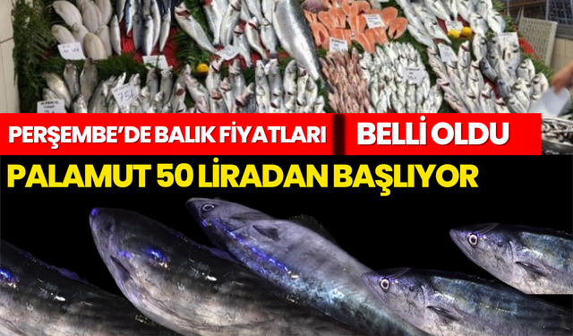 Perşembe’de Balık Fiyatları Belli Oldu: Palamut 50 Liradan Başlıyor