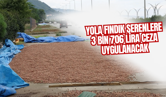 Yola Fındık Serenlere 3 Bin 706 Lira Ceza Uygulanacak