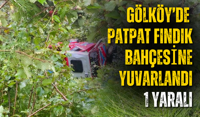 Gölköy’de Patpat Fındık Bahçesine Yuvarlandı: 1 Yaralı
