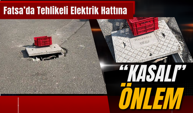 Fatsa’da Tehlikeli Elektrik Hattına “Kasalı” Önlem