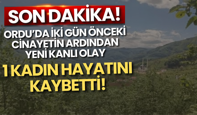 Ordu’da İki Gün Önceki Cin*yetin Ardından Yeni K*nlı Olay: 1 Kadın Hayatını Kaybetti!