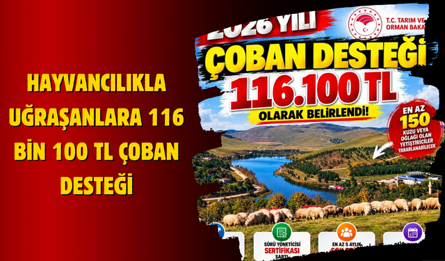 Hayvancılıkla Uğraşanlara 116 Bin 100 TL Çoban Desteği