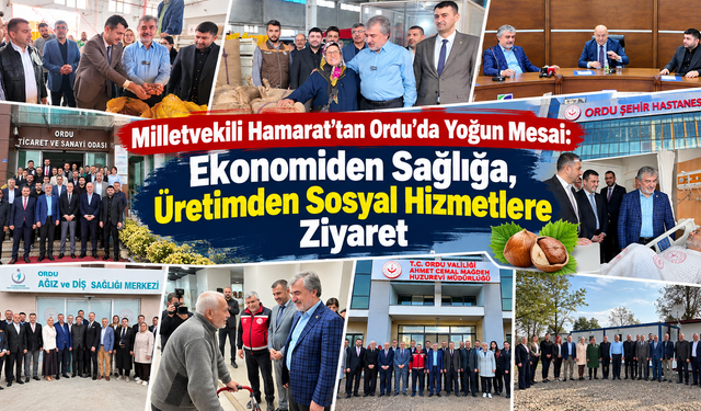 Milletvekili Hamarat’tan Ordu’da Yoğun Mesai: Ekonomiden Sağlığa, Üretimden Sosyal Hizmetlere Ziyaret