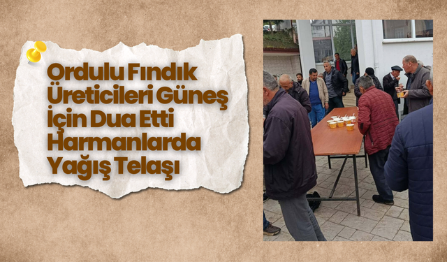 Ordulu Fındık Üreticileri Güneş İçin Dua Etti: Harmanlarda Yağış Telaşı