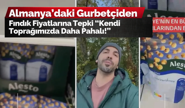Almanya’daki Gurbetçiden Fındık Fiyatlarına Tepki: “Kendi Toprağımızda Daha Pahalı!”